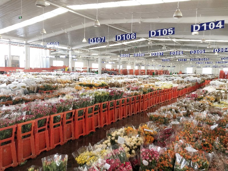 鲜花采购平台