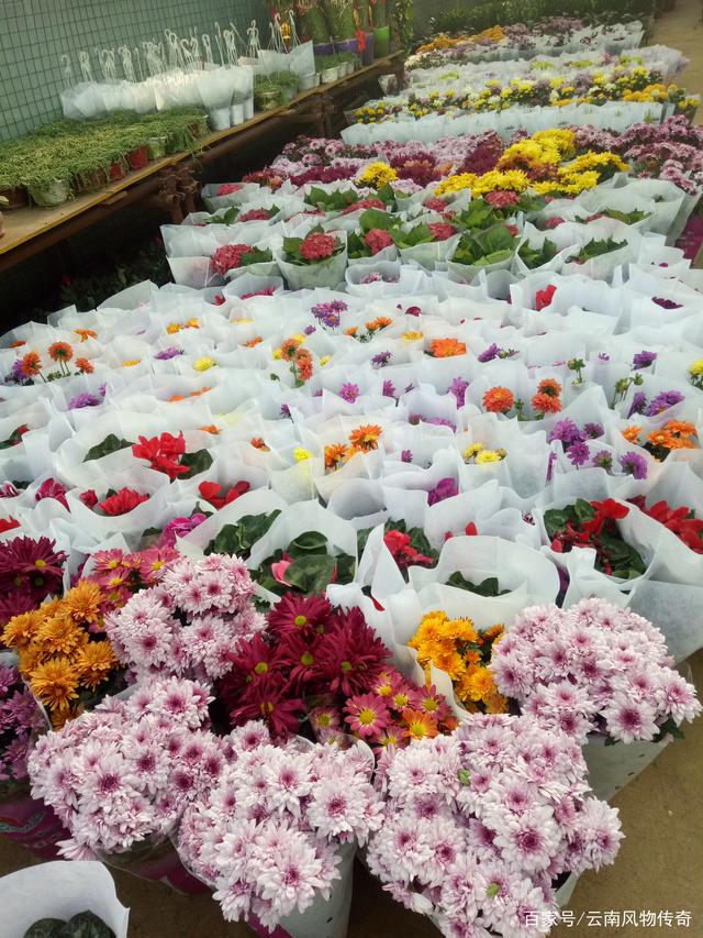 云南鲜花批发